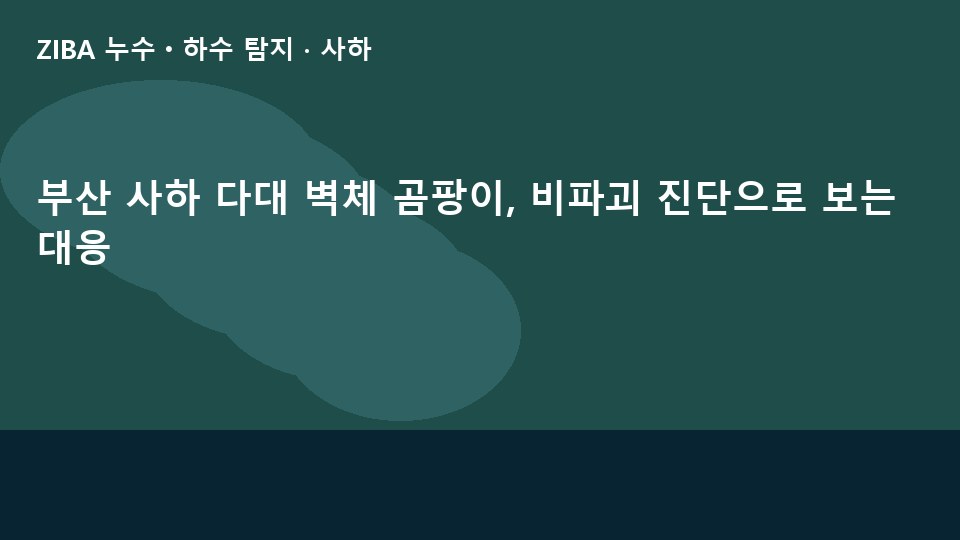 부산 사하 다대 벽체 곰팡이, 비파괴 진단으로 보는 대응