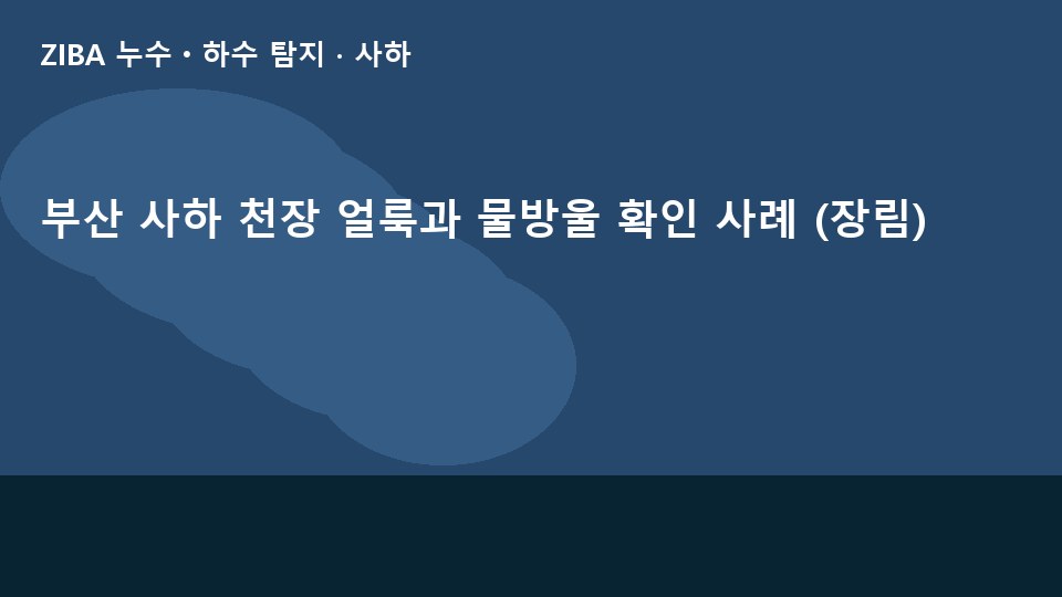 부산 사하 천장 얼룩과 물방울 확인 사례 (장림)