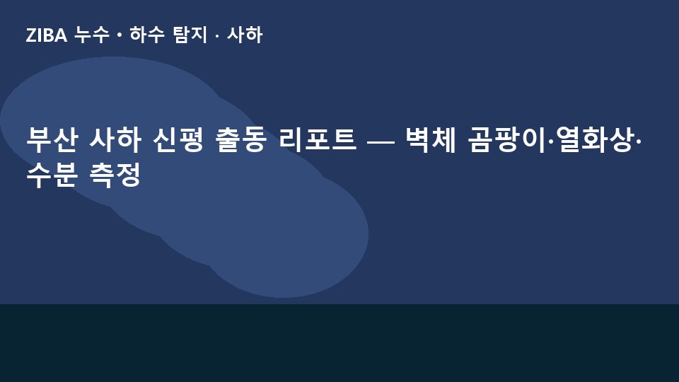 부산 사하 신평 출동 리포트 — 벽체 곰팡이·열화상·수분 측정
