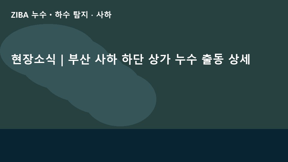 현장소식 | 부산 사하 하단 상가 누수 출동 상세
