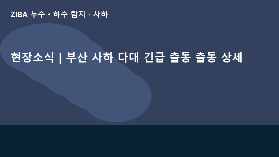 현장소식 | 부산 사하 다대 긴급 출동 출동 상세